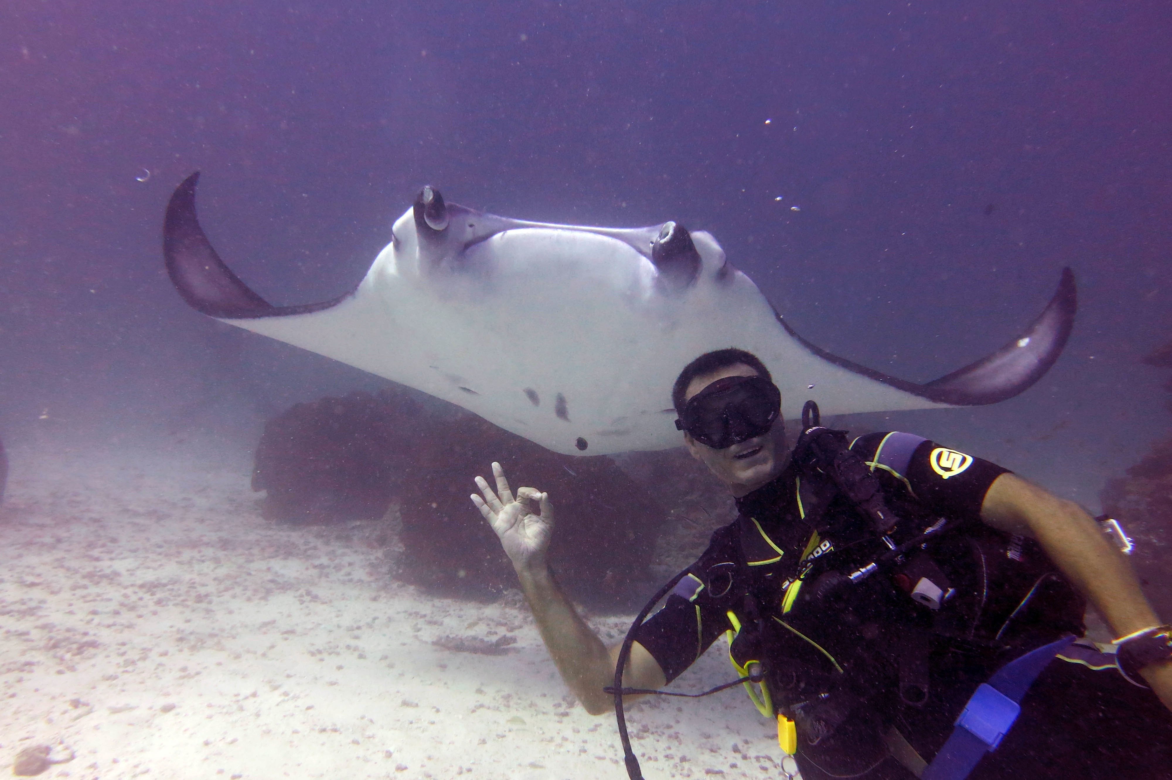 The lowdown on scuba diving – if you have never tried it!