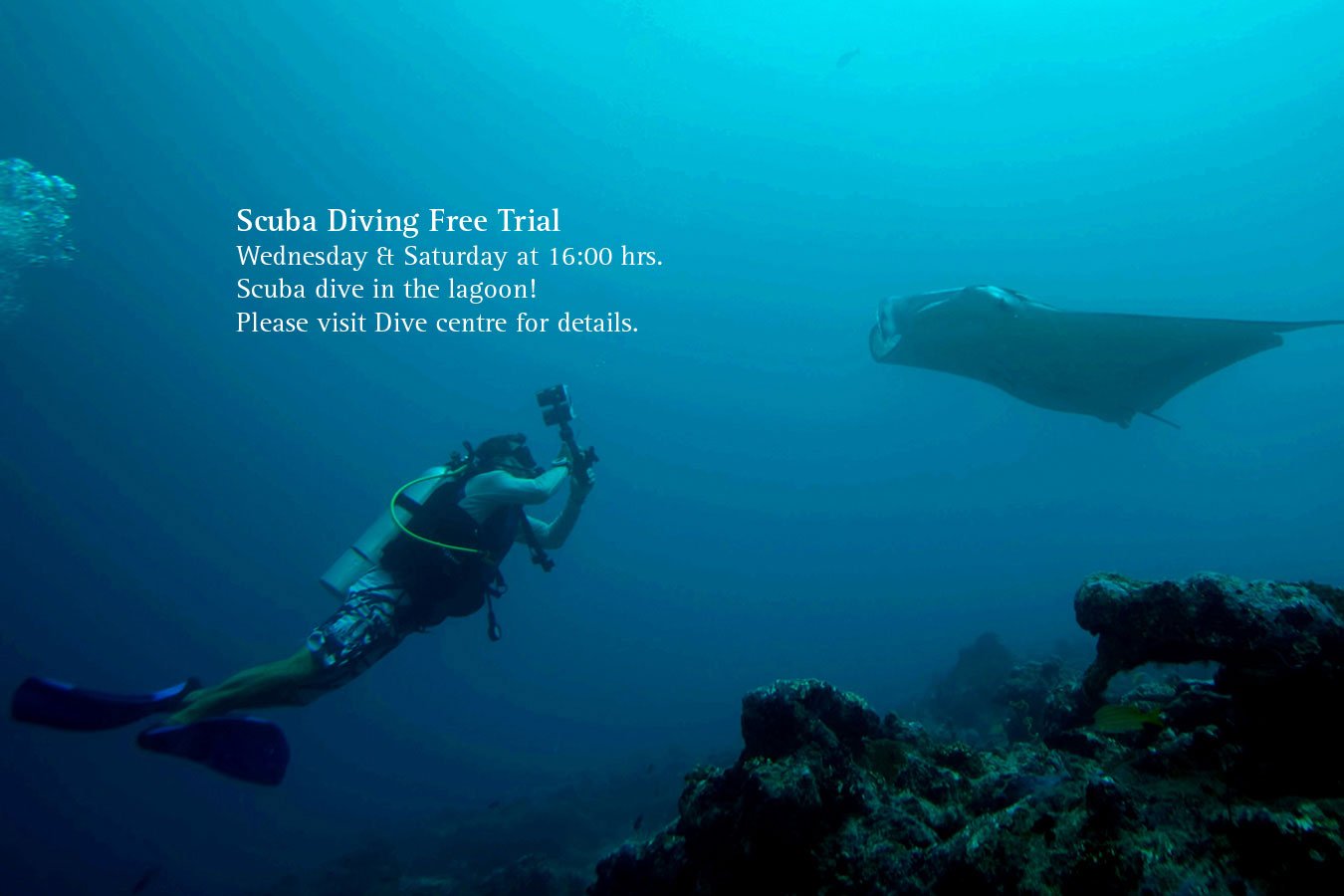 Maldives Scuba Diving image | Kurumba Maldives Resort