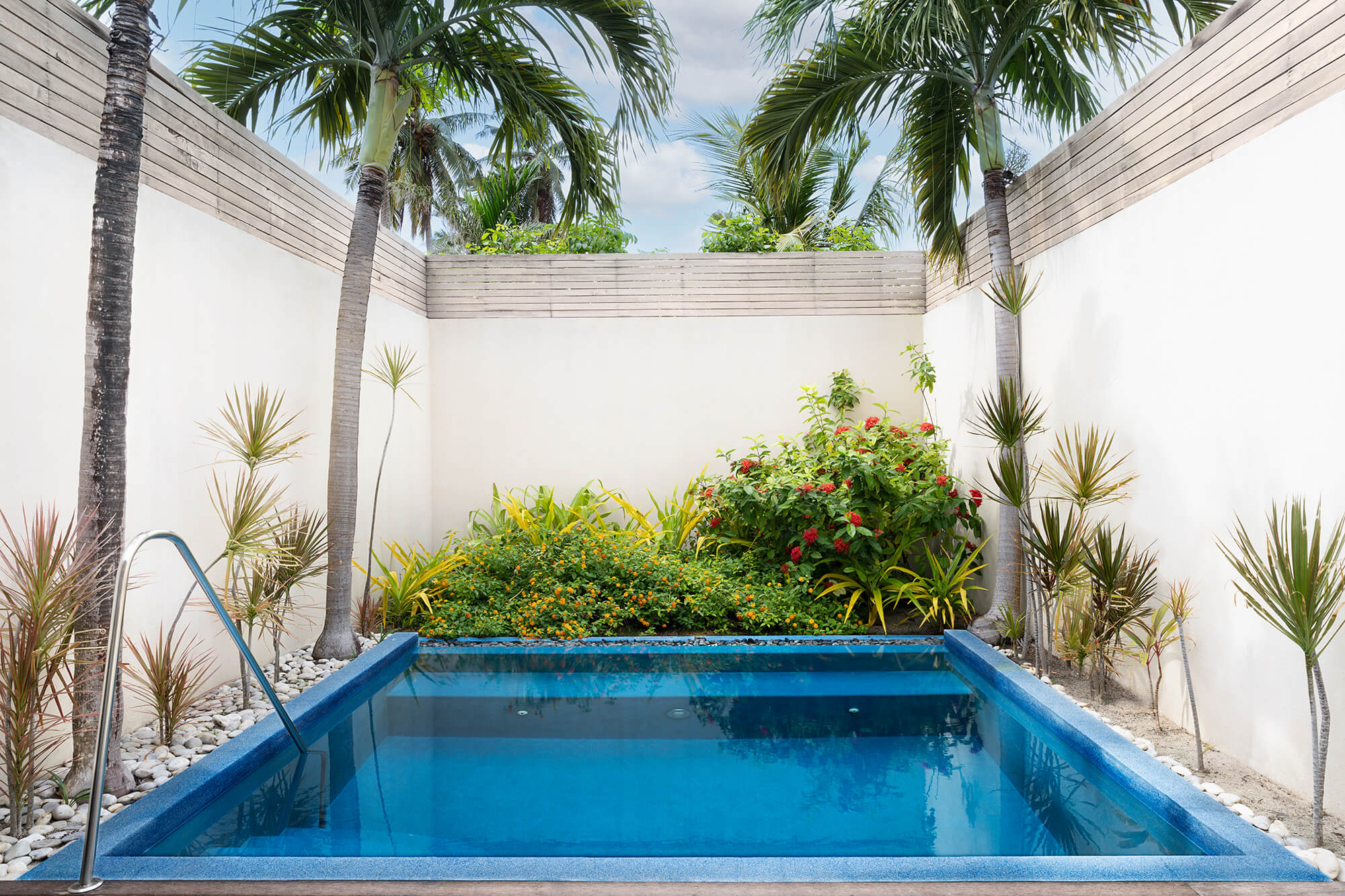 Garden Pool (3)