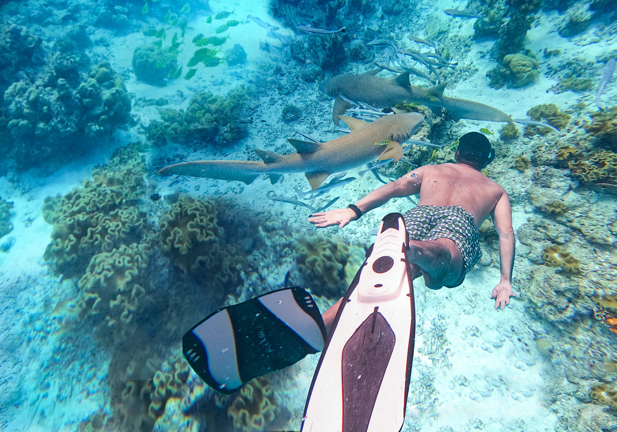 underwater