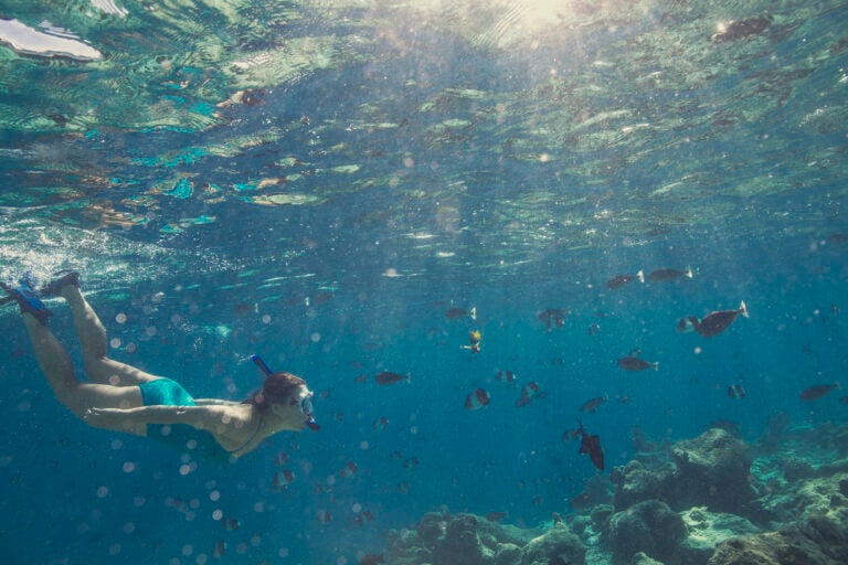 A woman snorkeling with tropical fish
